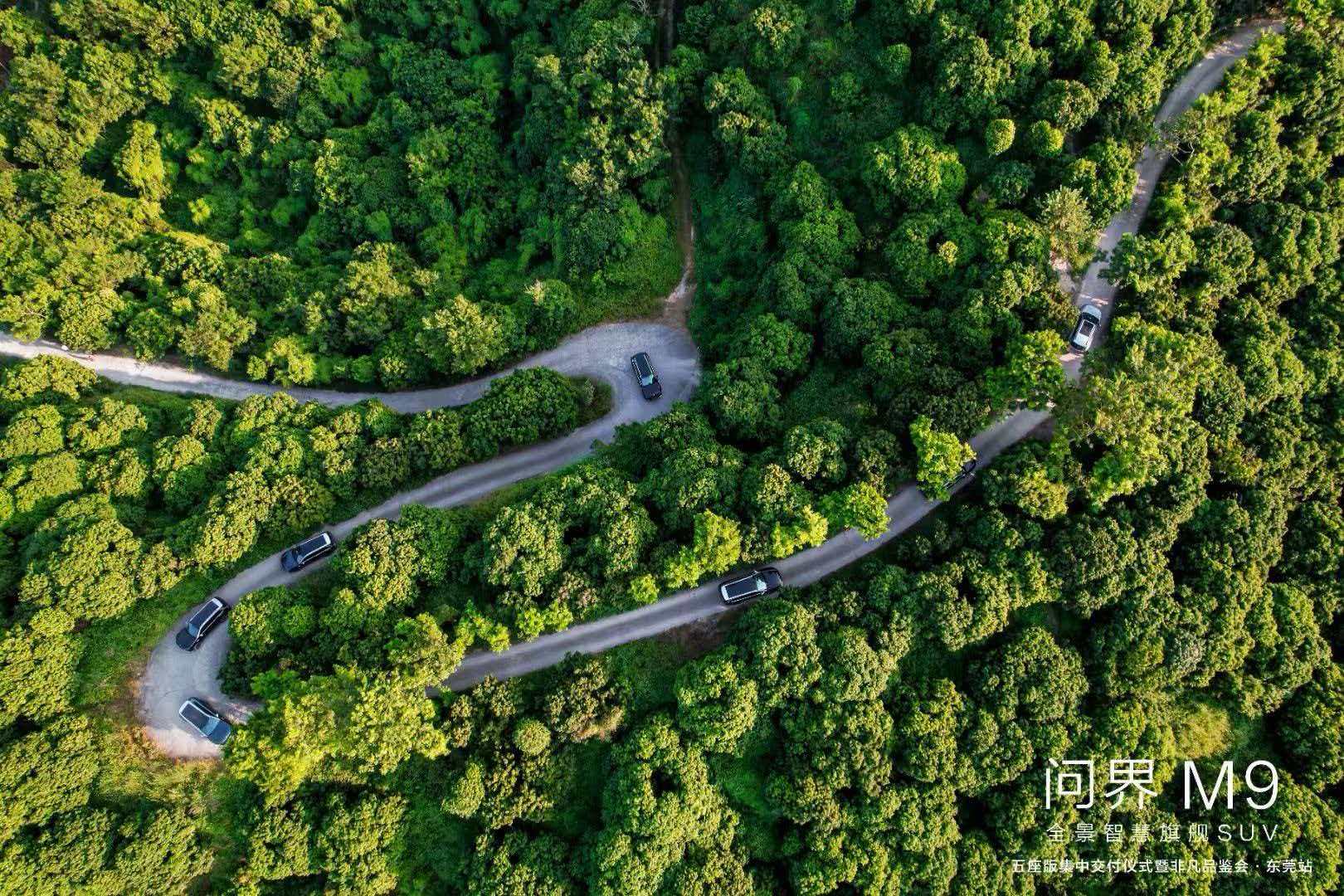 林间道路与车队航拍