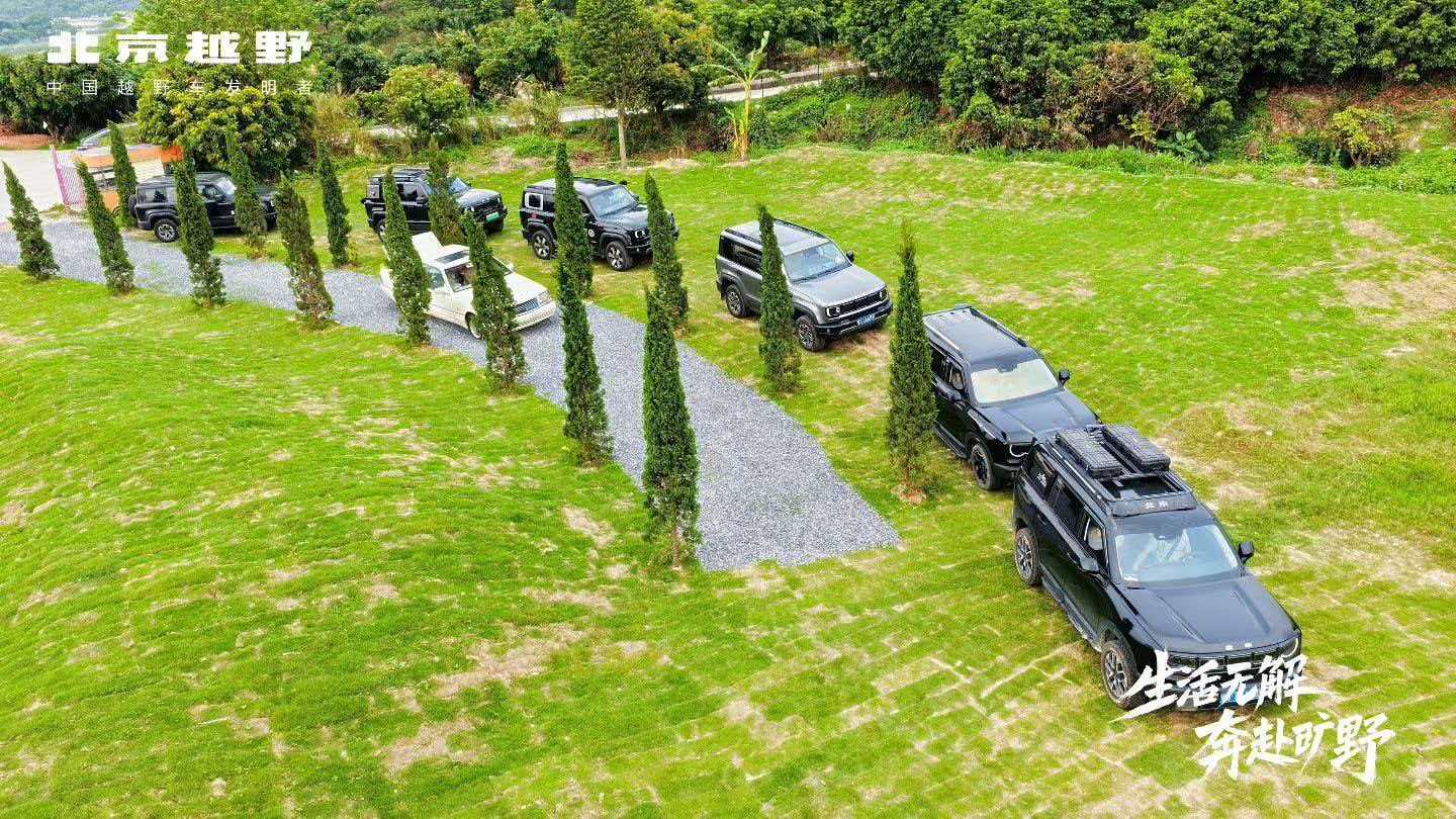 草坪道路与车辆展示