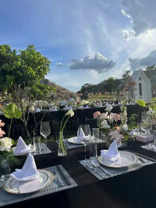 草坪婚宴餐桌与远景